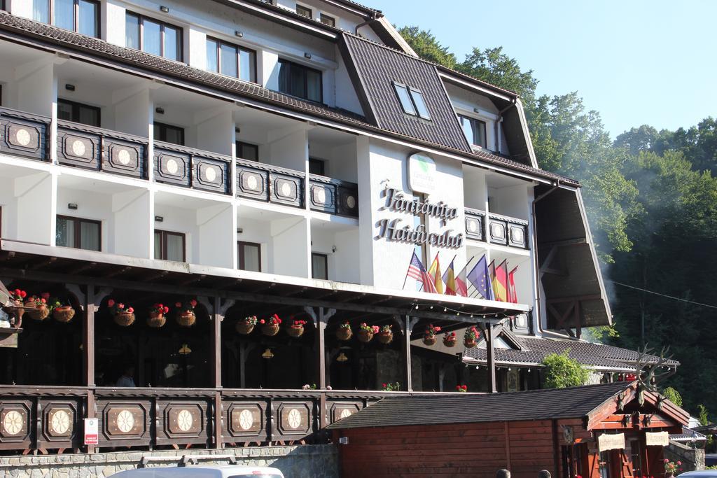 Hotel Fantanita Haiducului Bradu  Εξωτερικό φωτογραφία