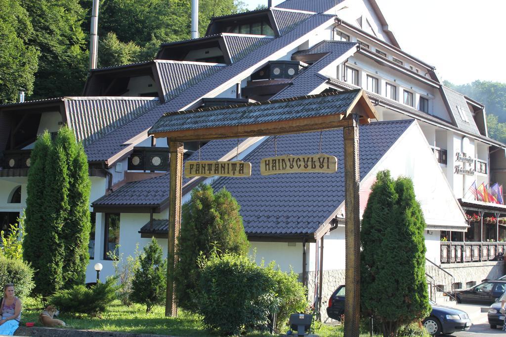 Hotel Fantanita Haiducului Bradu  Εξωτερικό φωτογραφία