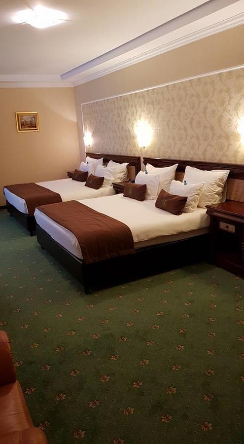 Hotel Fantanita Haiducului Bradu  Εξωτερικό φωτογραφία