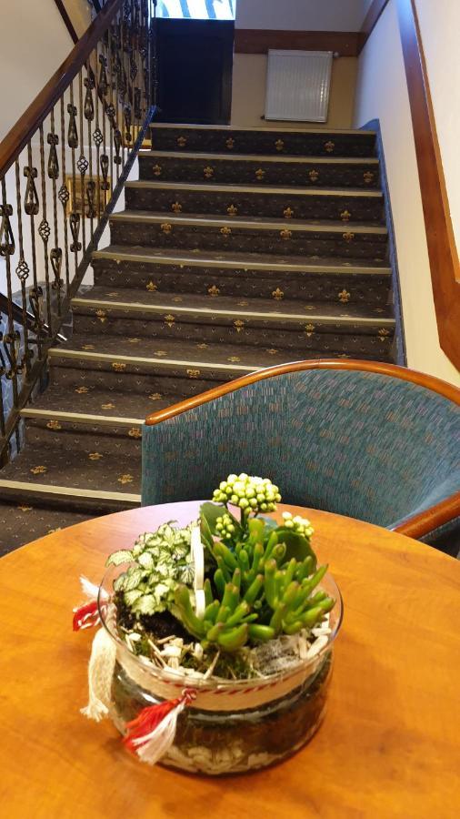 Hotel Fantanita Haiducului Bradu  Εξωτερικό φωτογραφία